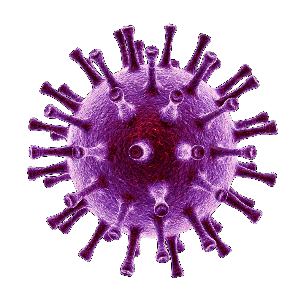 Virus